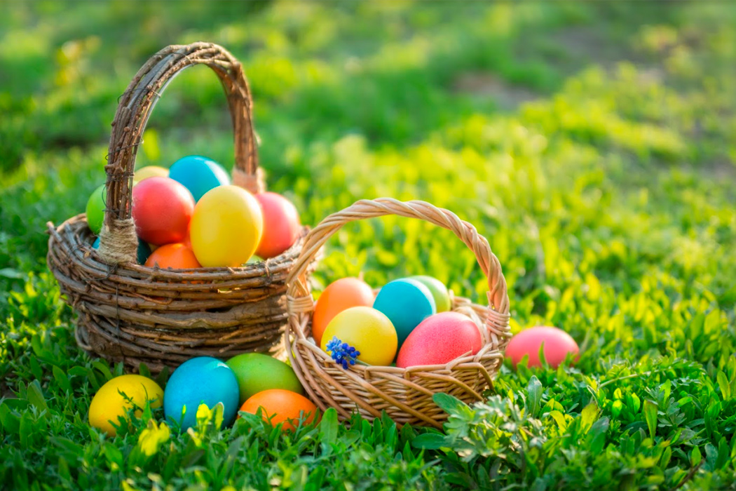 Happy Easter everyone! #happyeaster #eas...