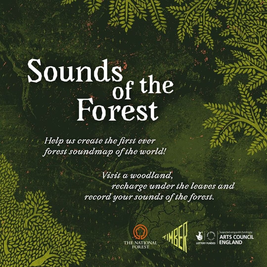 Help @timberfestival create the first ever forest soundmap o...