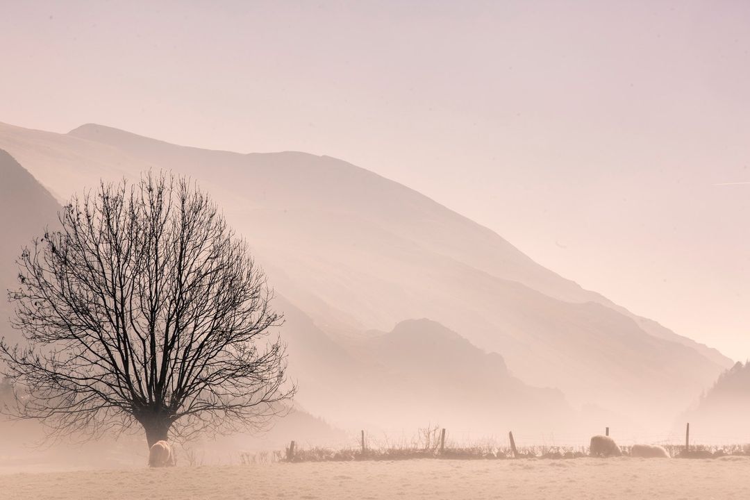 If you’re out and about in either @yorkshiredales or @lakedi...