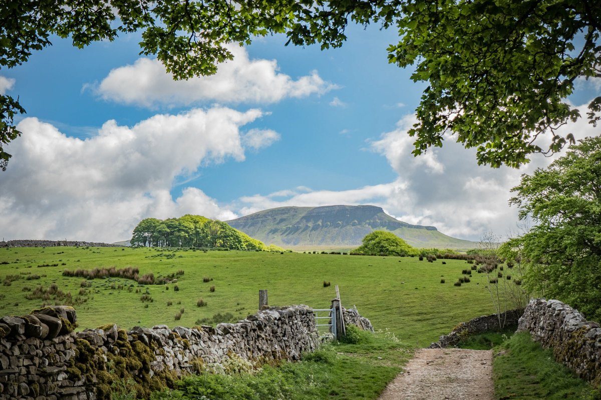 The #Yorkshire #ThreePeaks are much love...